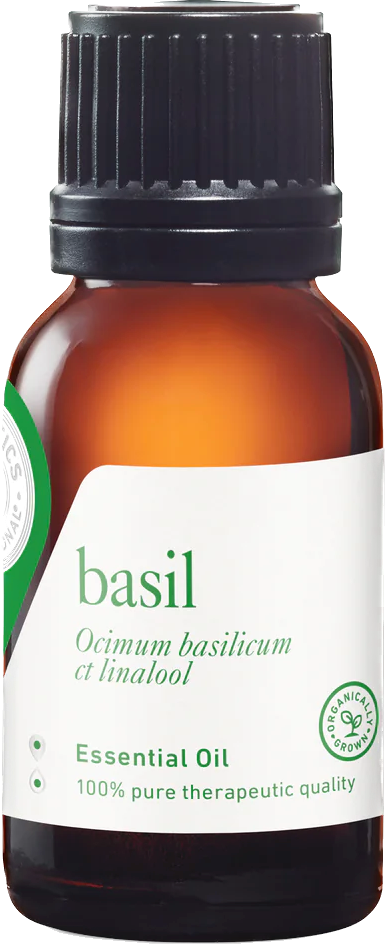 basil (sweet) essential oil