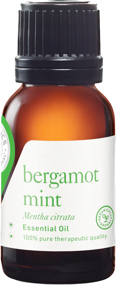 bergamot mint essential oil