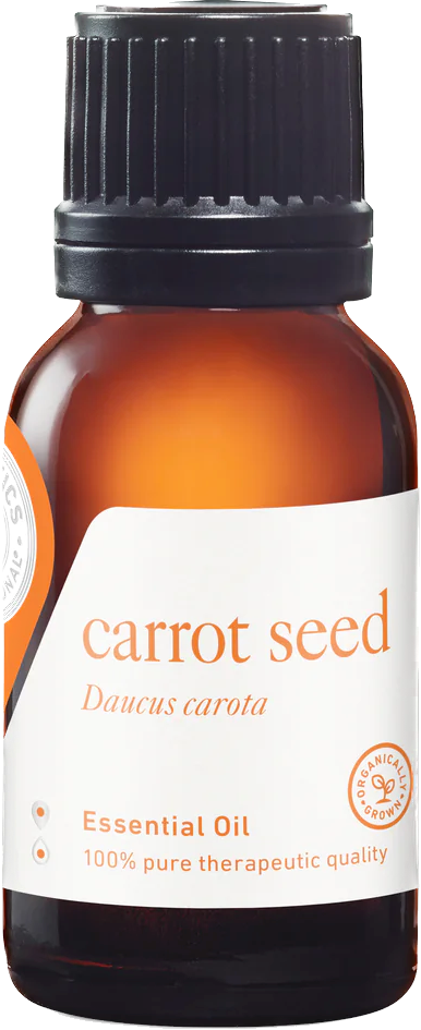 carrot seed essential oil