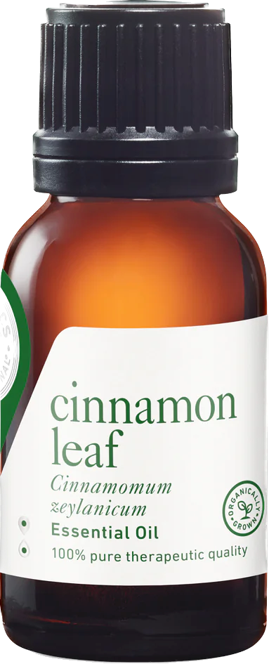 cinnamon leaf essential oil