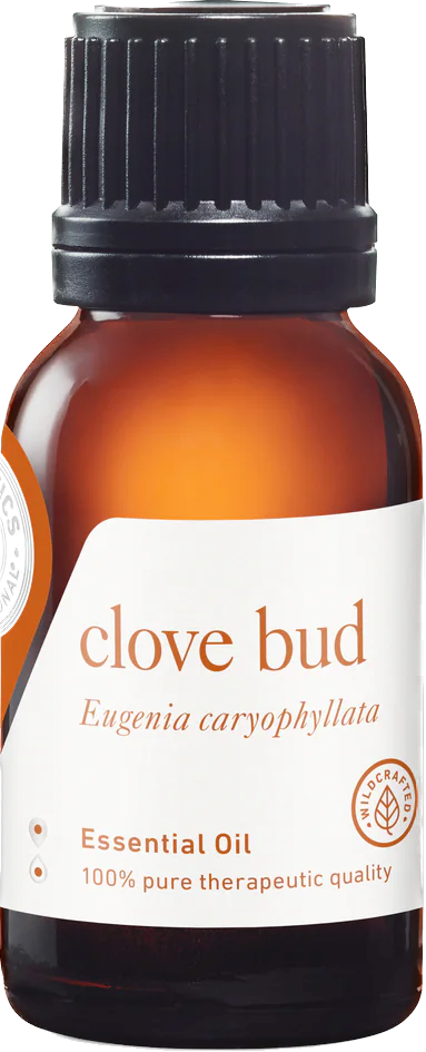 clove bud essential oil