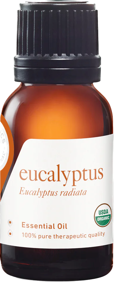 eucalyptus radiata essential oil