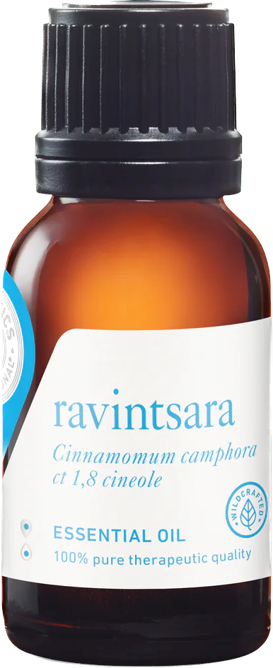 ravintsara essential oil