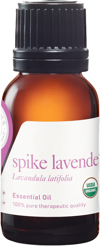 Spike Lavender essential oil