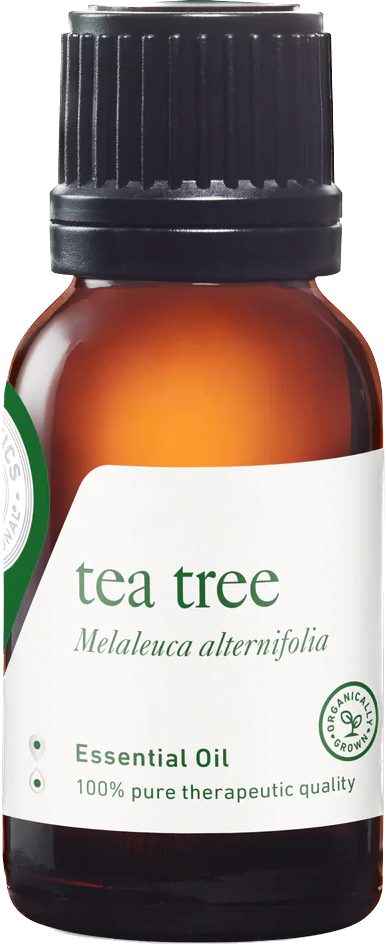 tea tree essential oil