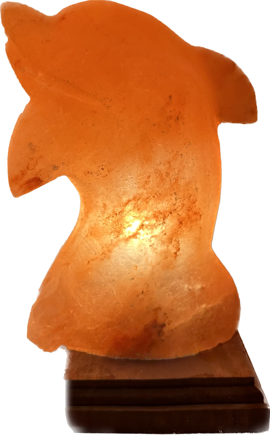 dolphin shaped salt lamp