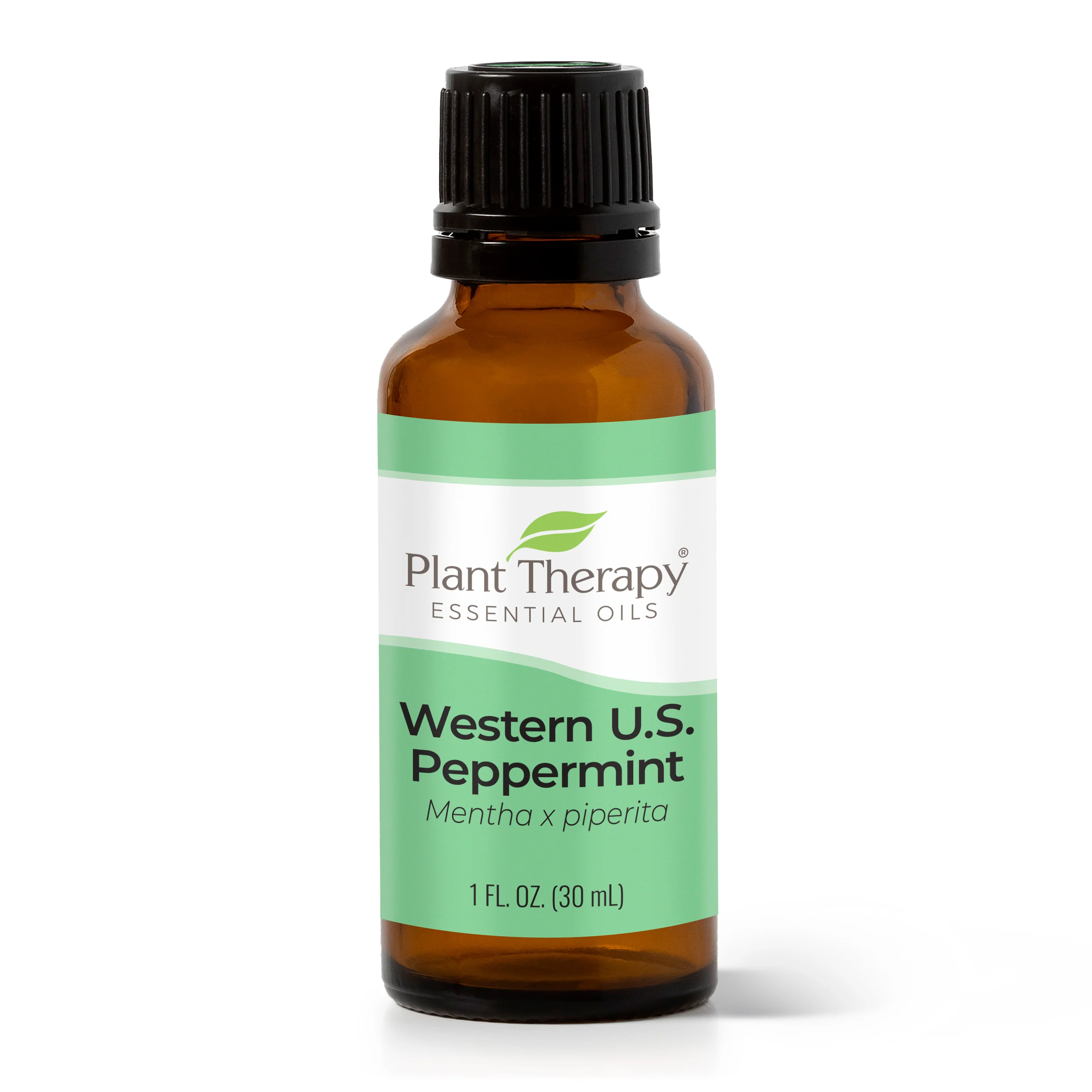 western u.s. peppermint essential oil